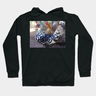 Hamburg Hens Hoodie